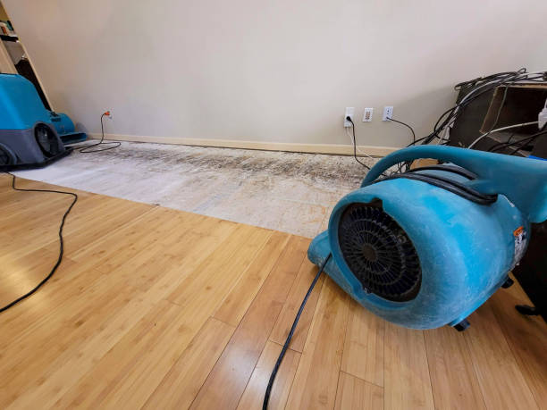 Professional Emergency Water Damage technician working in Sumiton, AL
